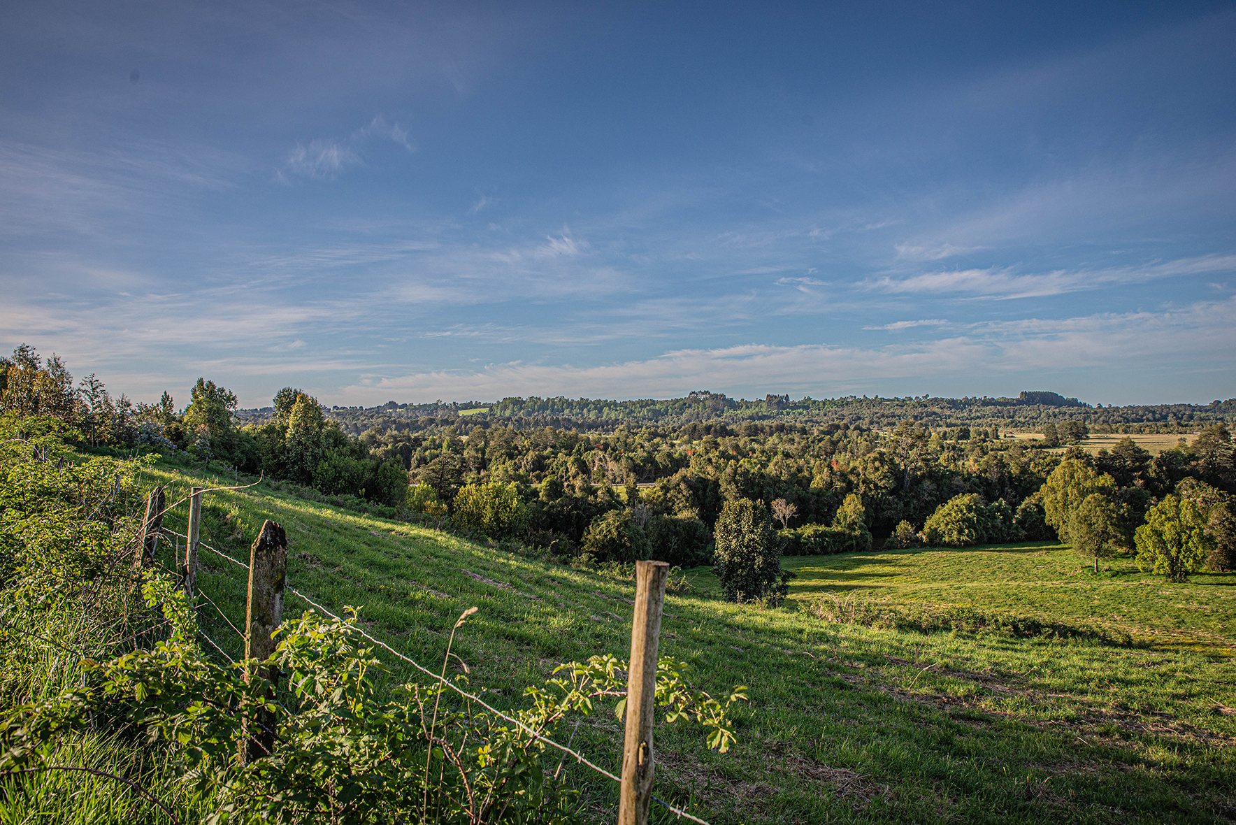 Parcela con orilla río Maullín Los Muermos