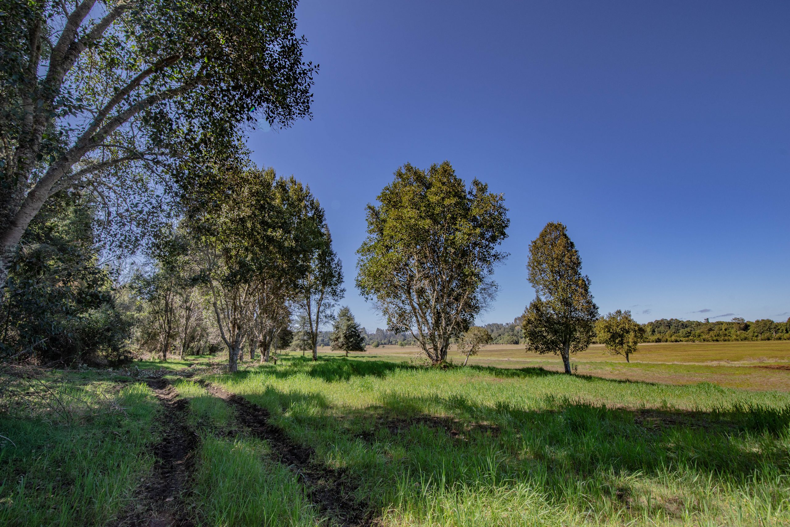 Parcela con orilla río Maullín Los Muermos