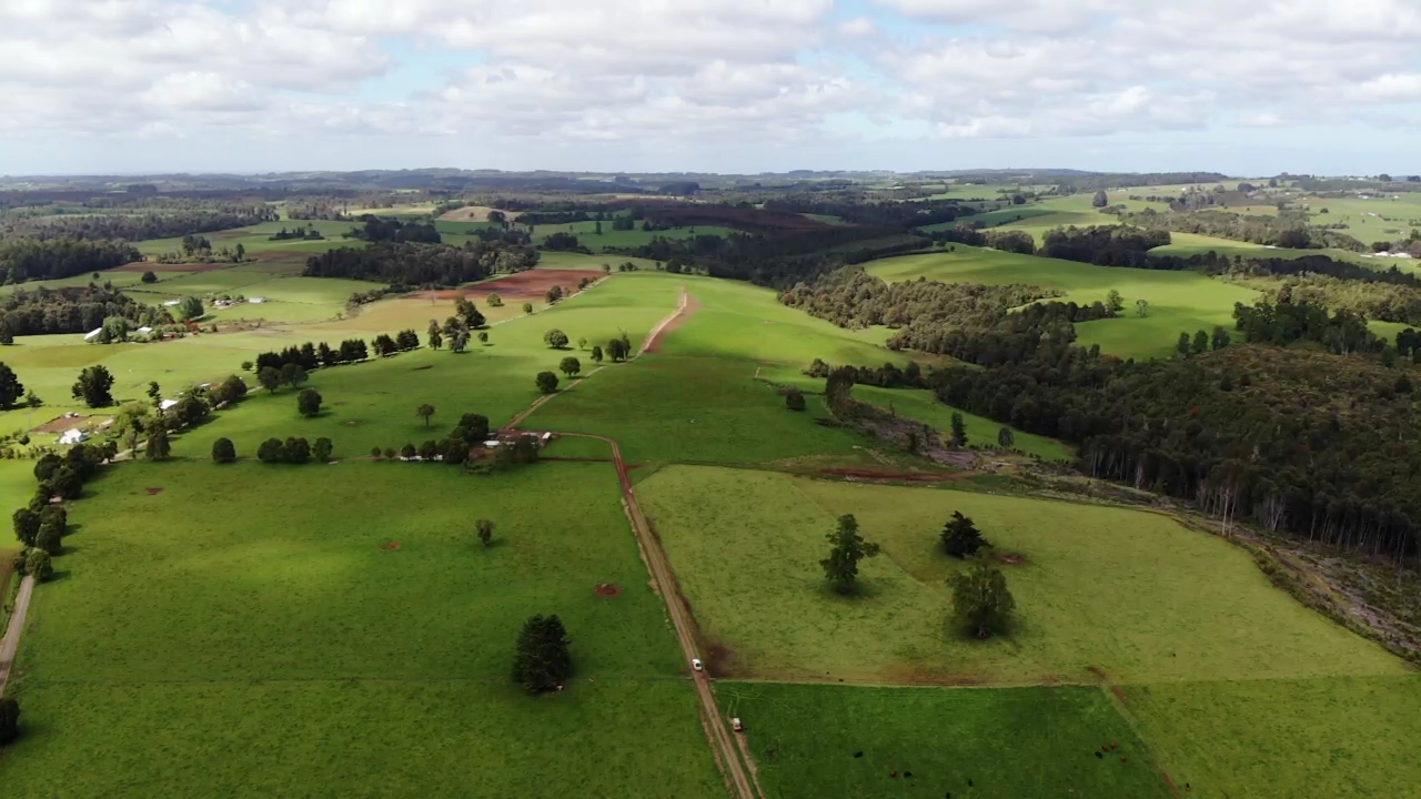 Campo Ganadero Los Muermos