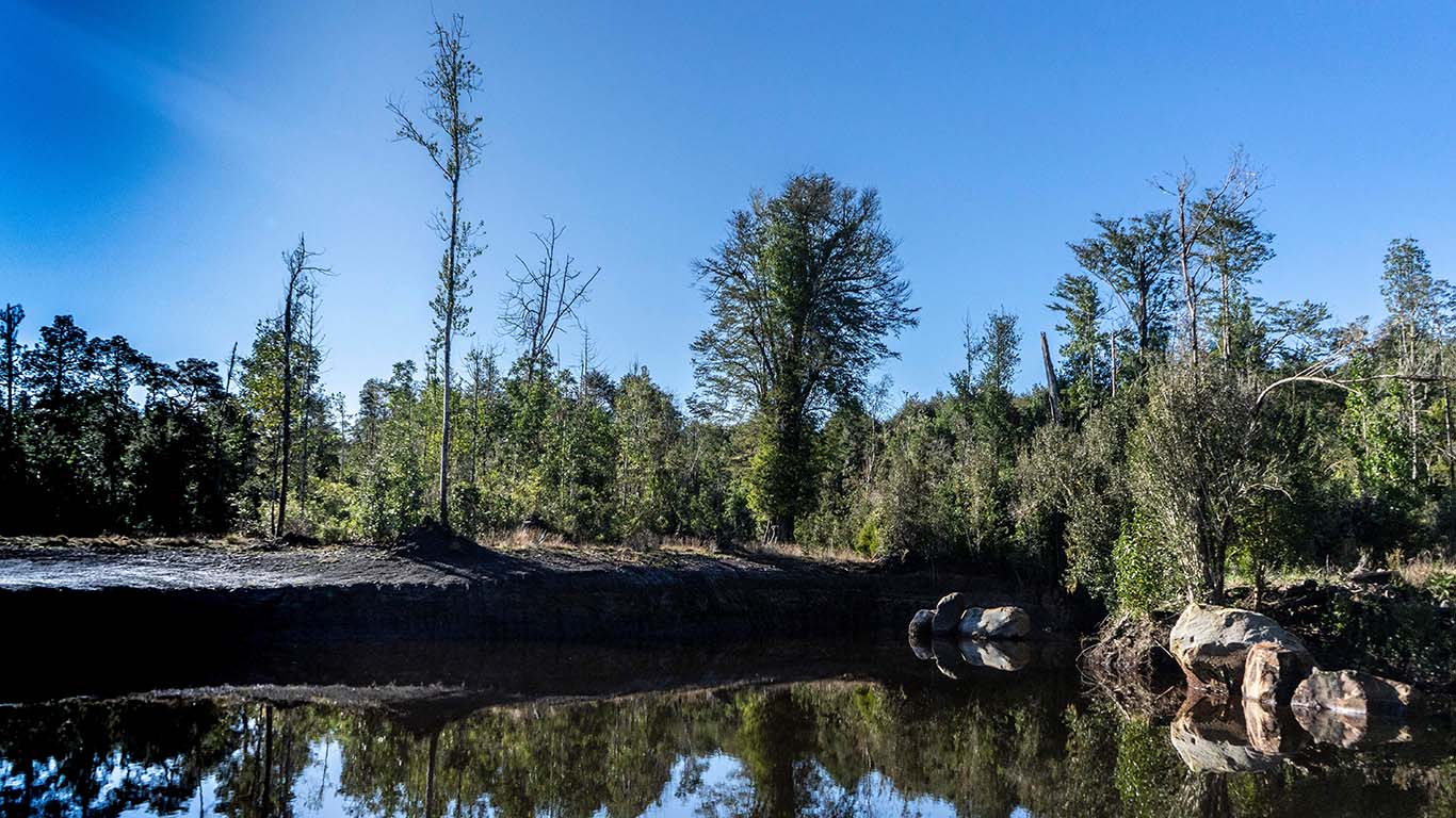 Parcelas Alerces de Camahueto Puerto Varas
