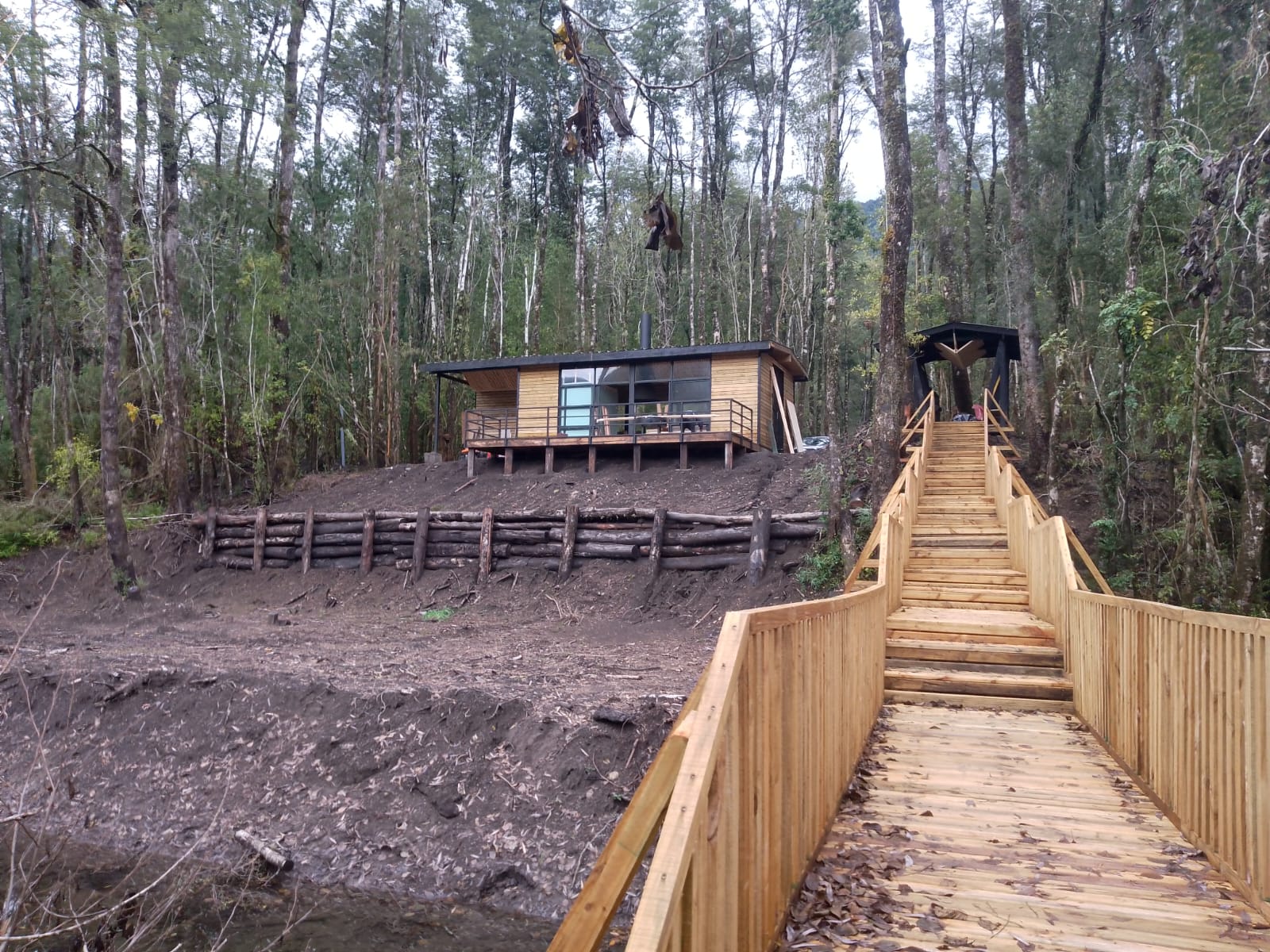 Mirador de Petrohué Puerto Varas