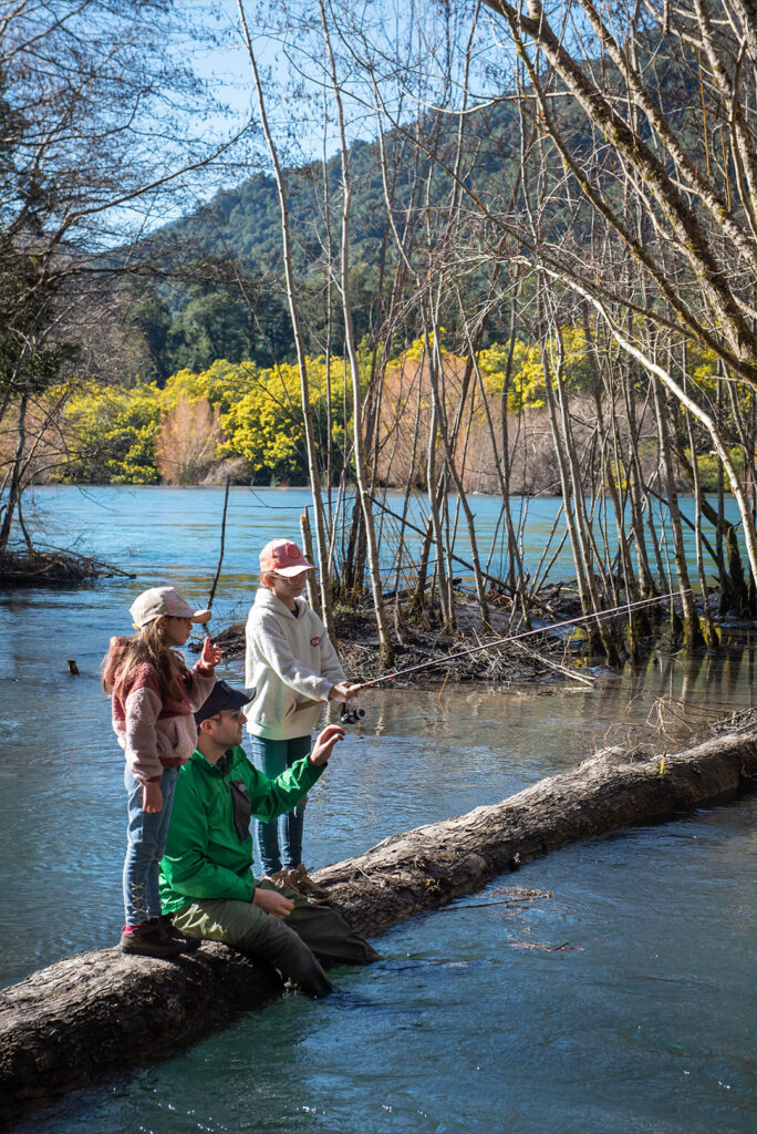 Mirador de Petrohué Puerto Varas