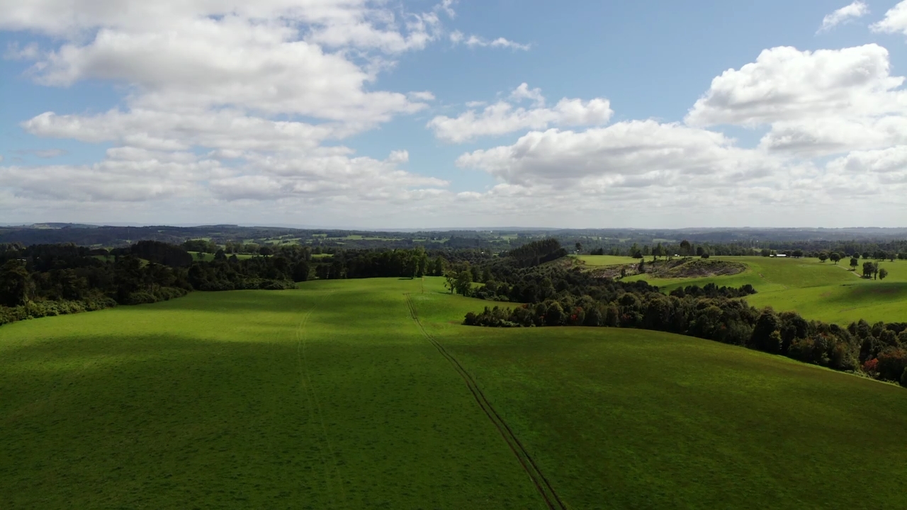 Campo Ganadero San Carlos Los Muermos