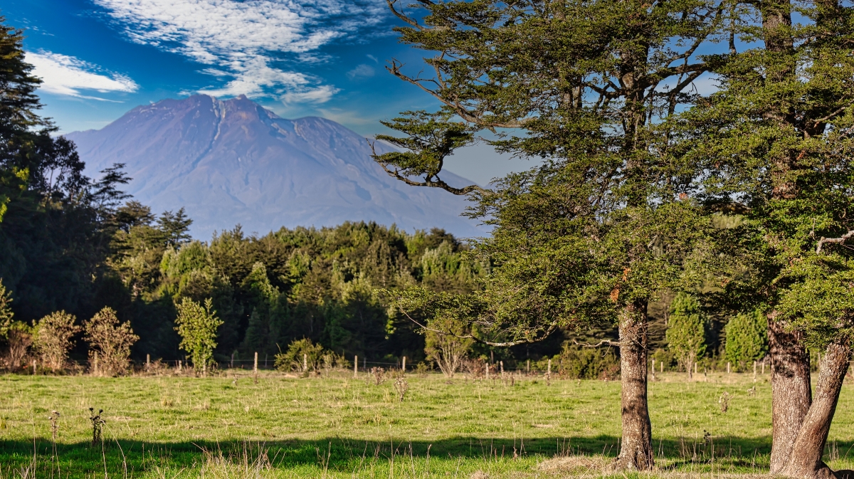 Parcelas Hacienda Las Lomas - Puerto Montt