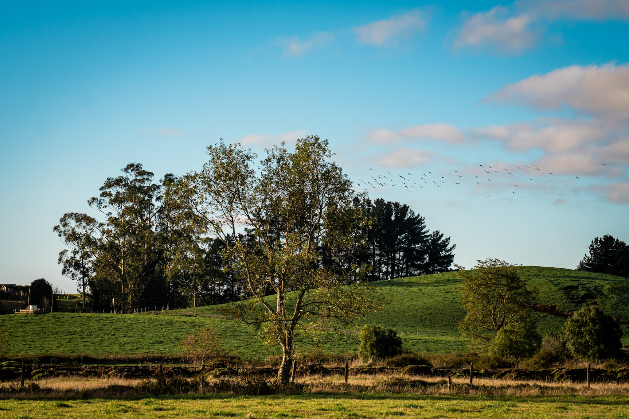 Parcelas Hacienda Las Lomas - Puerto Montt