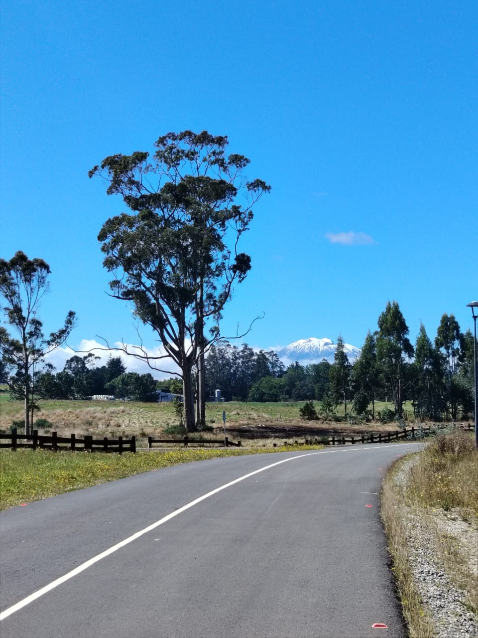Parcelas Landhaus Los Colonos - Puerto Varas