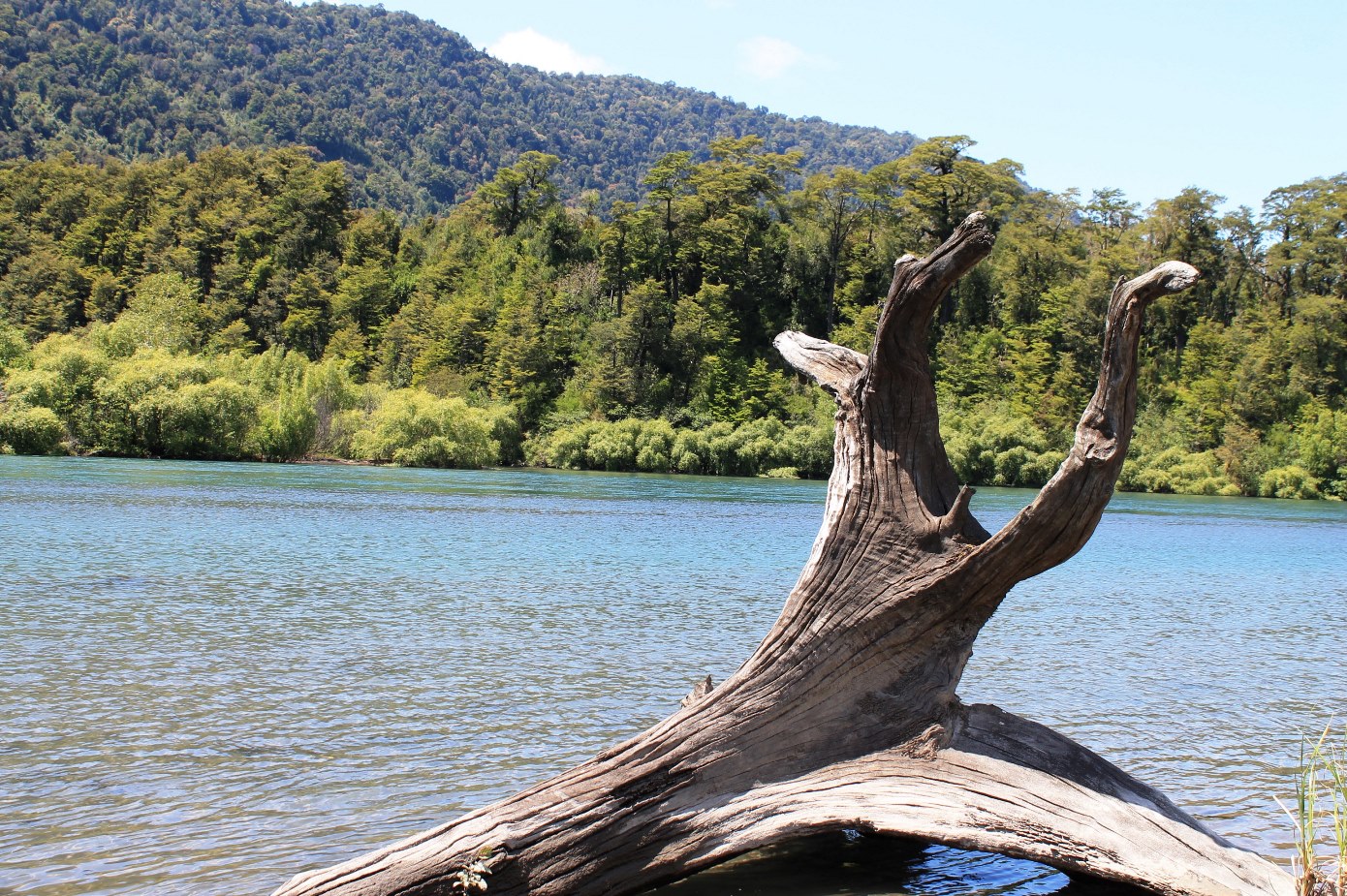 Parcelas Mirador de Petrohué - Puerto Varas