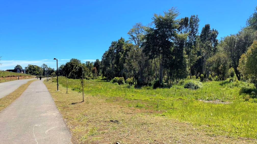 Parcelas Santa Clara Puerto Varas