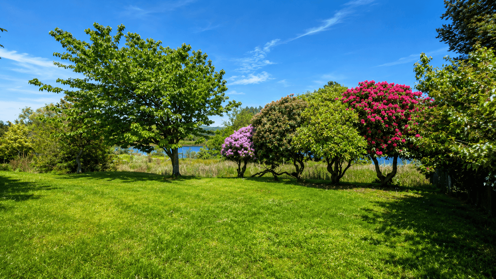 parcela-orilla-lago-pichilaguna
