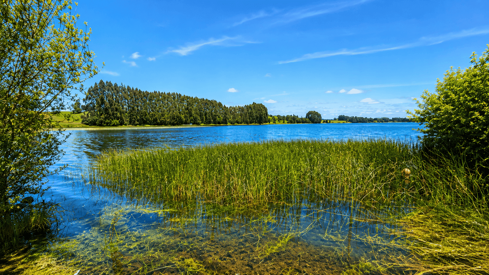 parcela-orilla-lago-pichilaguna