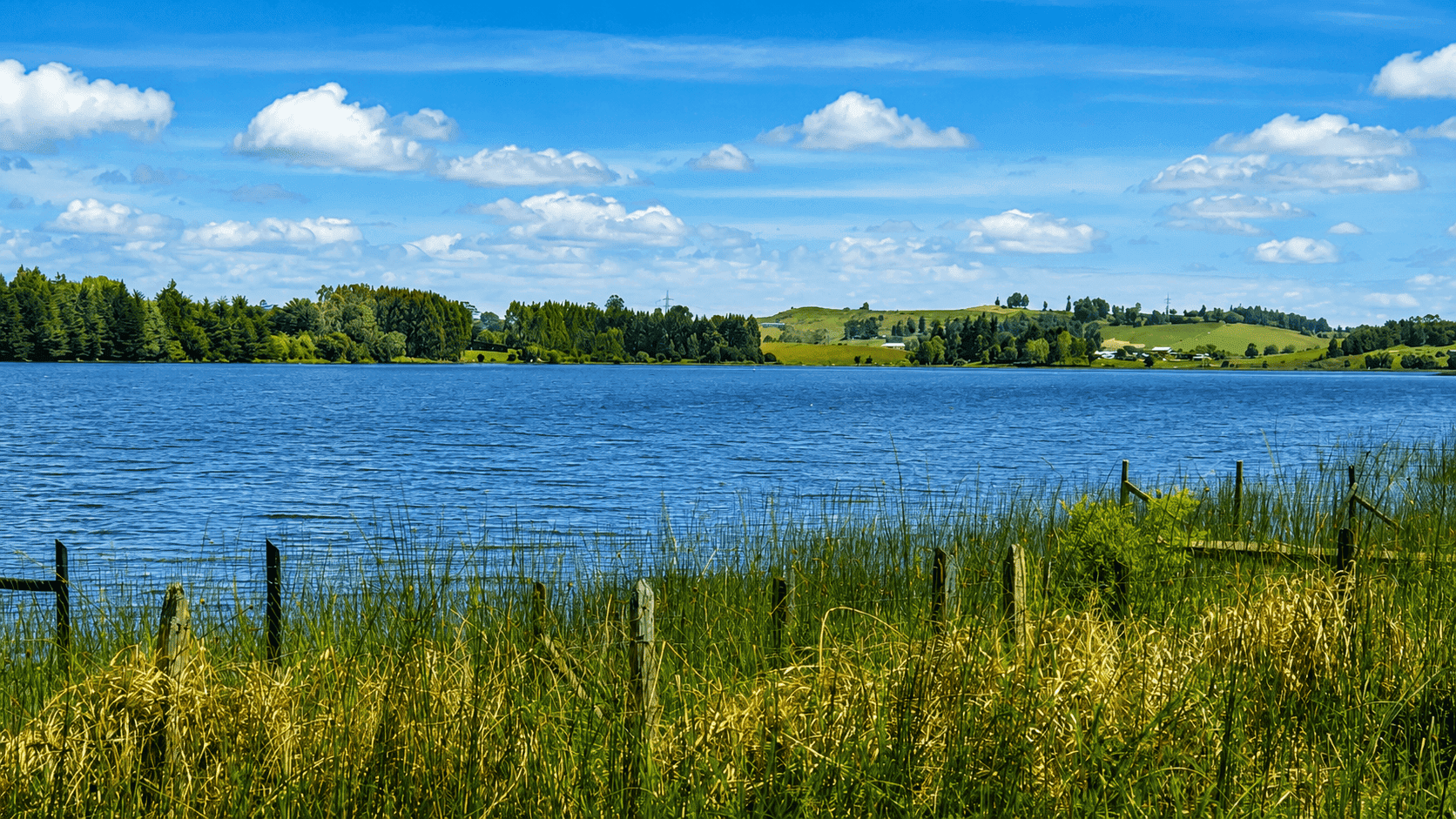 parcela-orilla-lago-pichilaguna