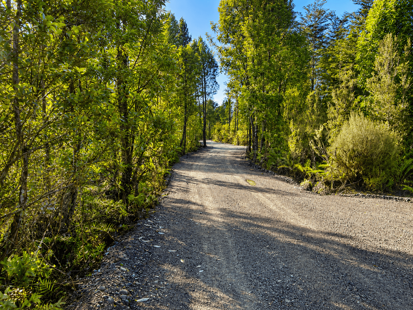 Parcelas Bosques del Tepual Puerto Varas