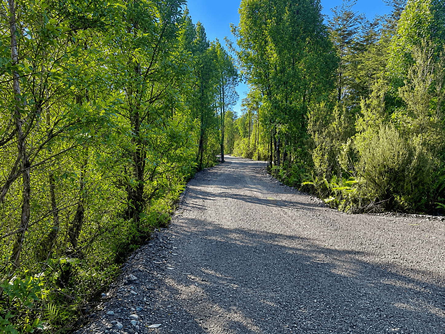 Parcelas Bosques del Tepual Puerto Varas