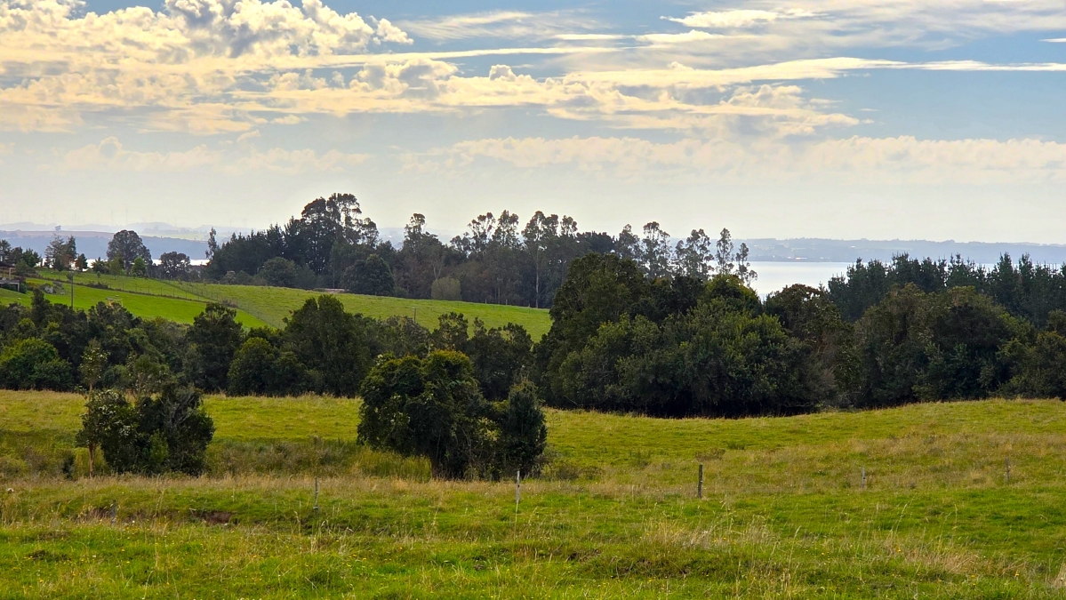 Parcela con vista al lago Puerto Varas