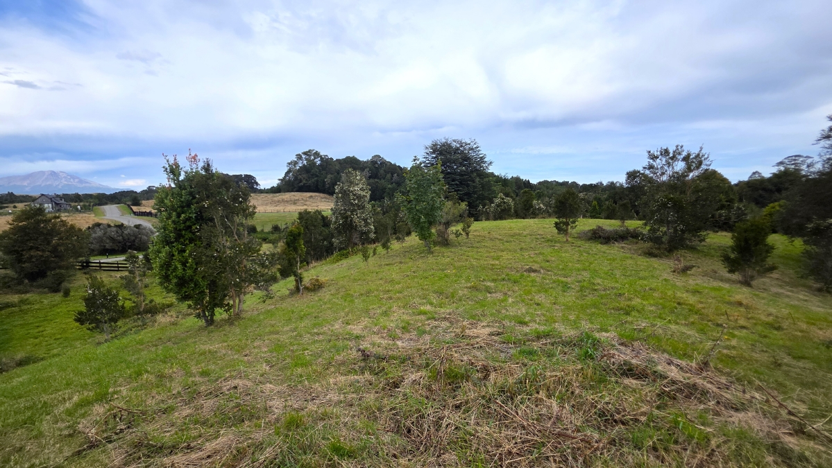 Parcela con vista al lago Puerto Varas