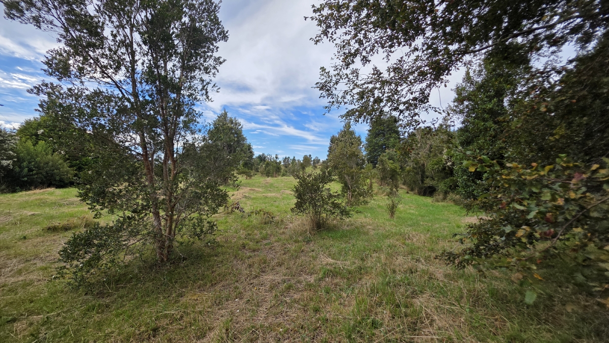 Parcela con vista al lago Puerto Varas