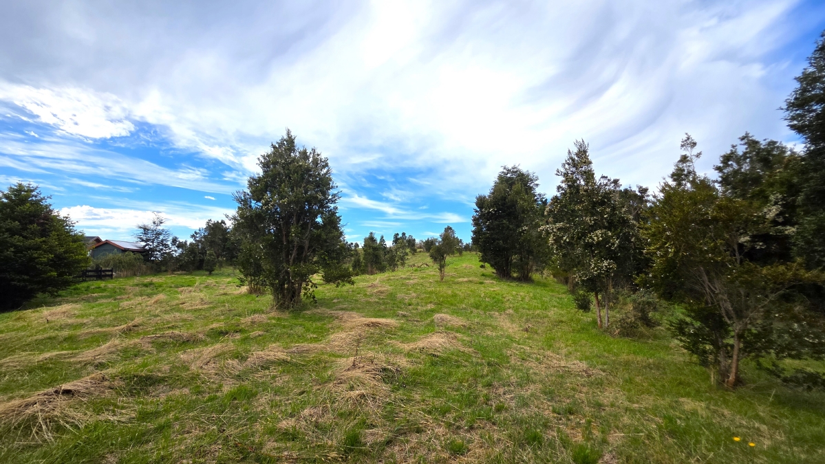 Parcela con vista al lago Puerto Varas