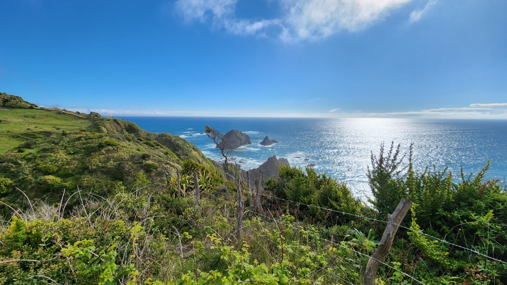 parcela con vista al mar los muermos